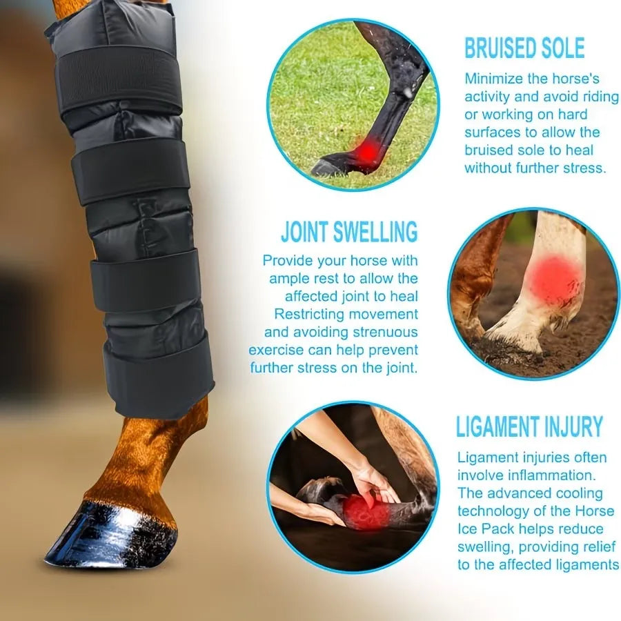 Reusable Horse Ice Leg Wrap for Post-Workout Recovery and Cooling Relief, Adjustable Equine Cold Therapy Boot. @ ghoddosh.com