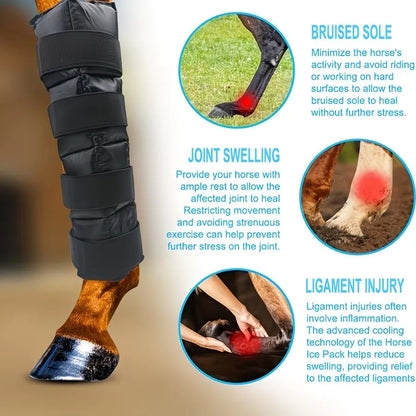Reusable Horse Ice Leg Wrap for Post-Workout Recovery and Cooling Relief, Adjustable Equine Cold Therapy Boot. @ ghoddosh.com