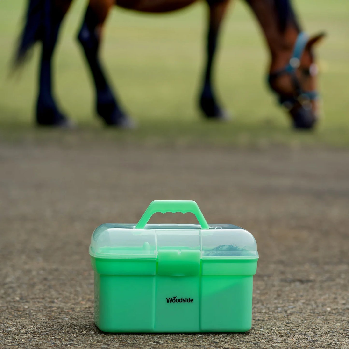 All In One  8-Piece Equestrian Grooming Kit – Complete Horse & Pony Care Set with Brushes, Hoof Pick & Storage Box @ ghoddosh.com