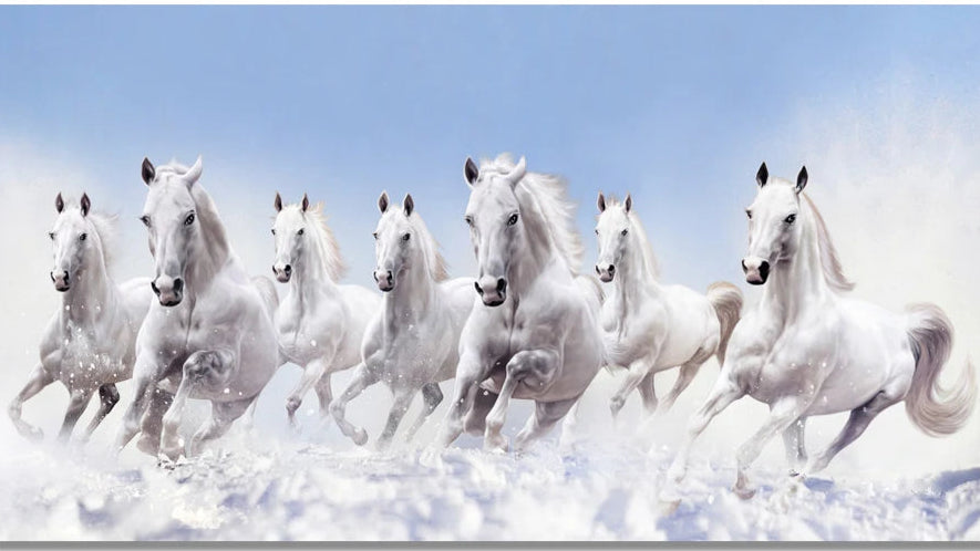 7 White Running Horses Canvas