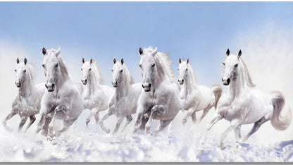 7 White Running Horses Canvas