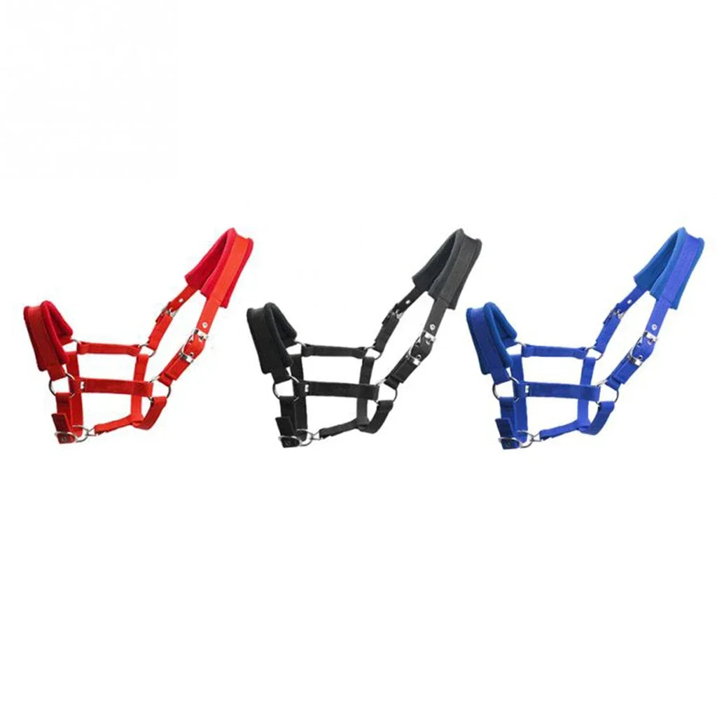 Soft Padded Pony Horse Halter / Bridle  Headcollar