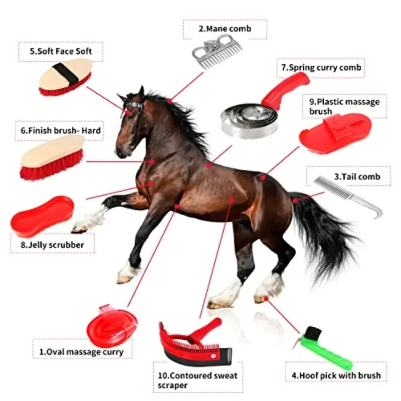 New Horse Grooming Tool Set