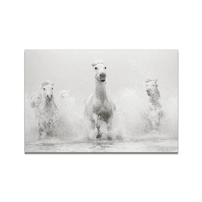 White Horse Print Art Canvas  Décor