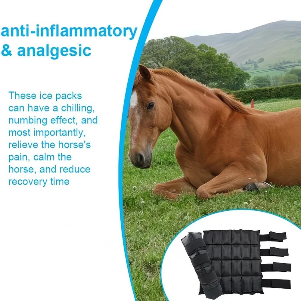 Reusable Horse Ice Leg Wrap for Post-Workout Recovery and Cooling Relief, Adjustable Equine Cold Therapy Boot. @ ghoddosh.com