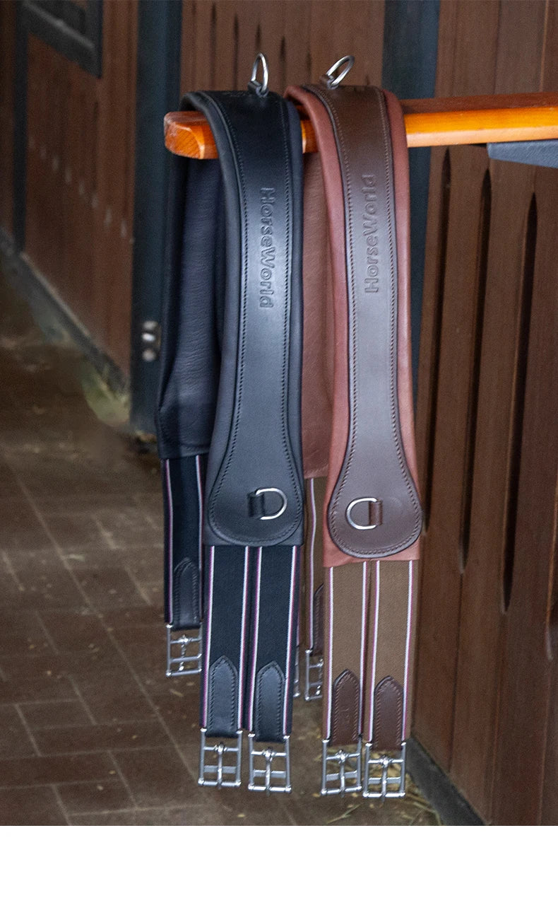 Premium Chocolate Leather Anatomical Girth | Anti-Chafe, Elastic & Padded for Training & Show @ ghoddosh.com