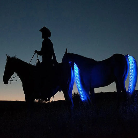 Equestrian/ Horse Tail Trappings  LED Flashing Light Bar with a  USB Charge 
