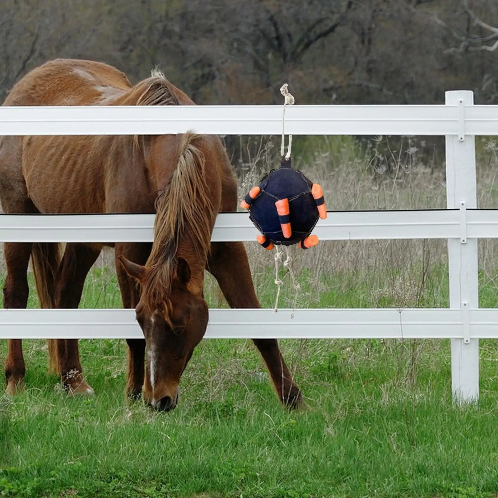 Horse carrot feeding ball toy / Hay Feeder  Hanging  Feeding Ball or any other animals - ghoddosh.com