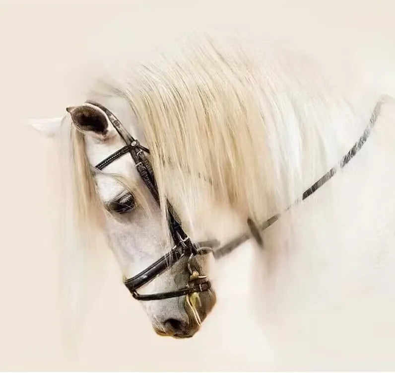 European Equestrian Leather Bridle Reins . Ghoddosh 