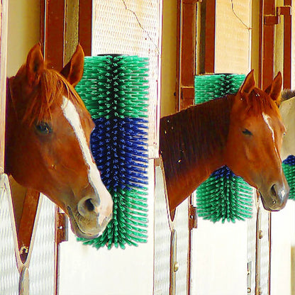 Horse Grooming  Scratch Brush @ ghoddosh.com