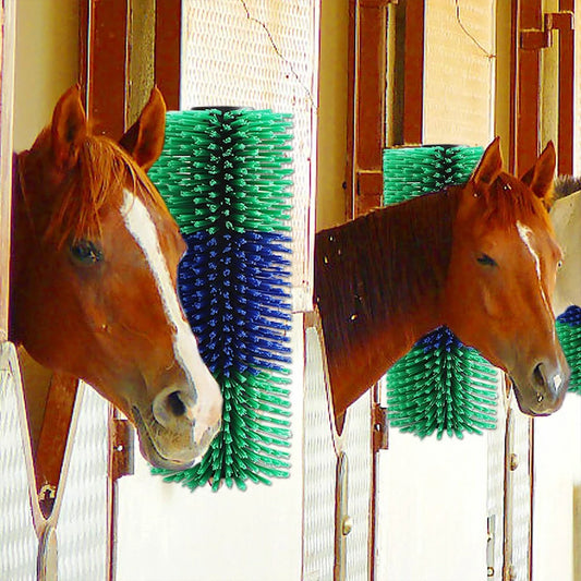 Horse Grooming  Scratch Brush @ ghoddosh.com