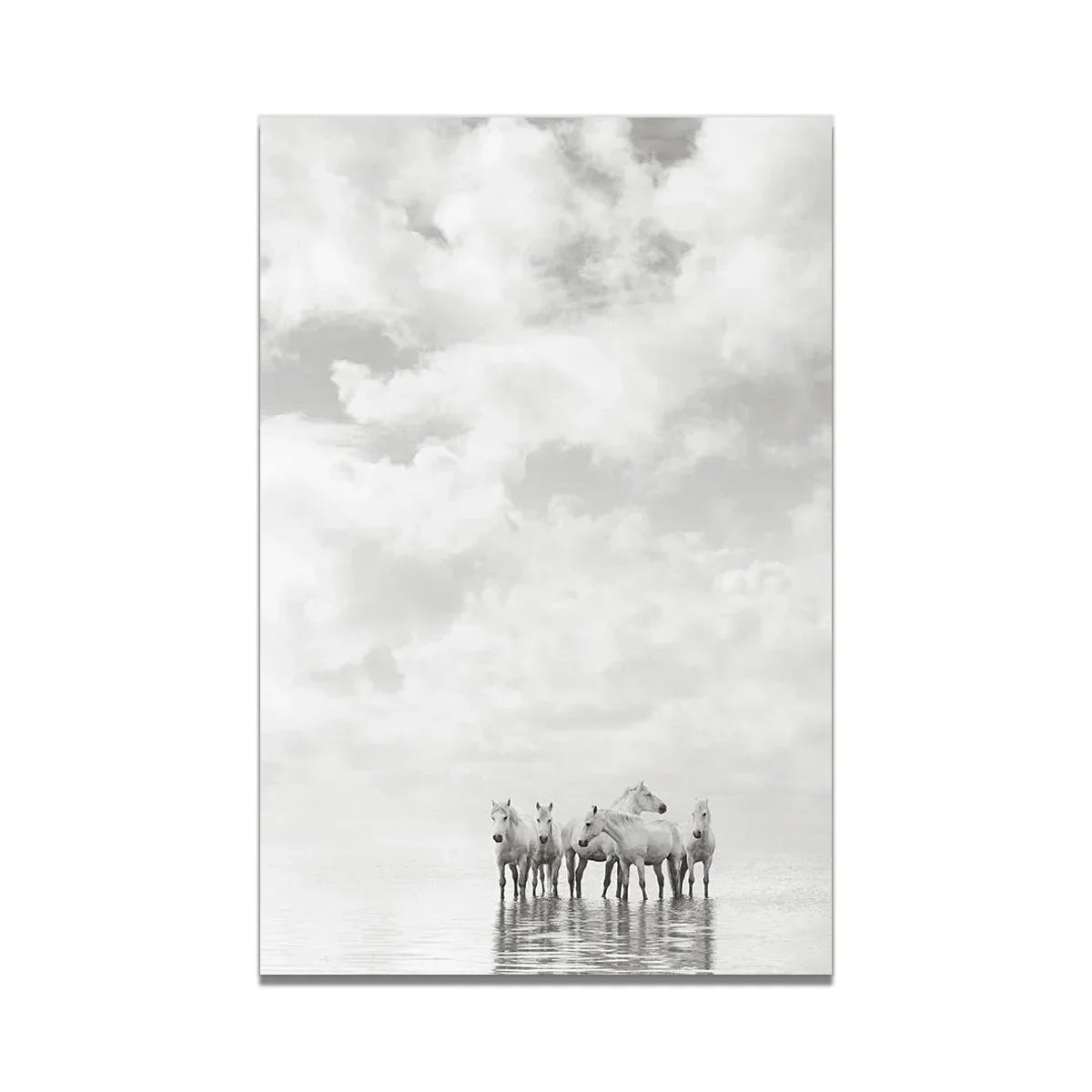 White Horse Print Art Canvas  Décor
