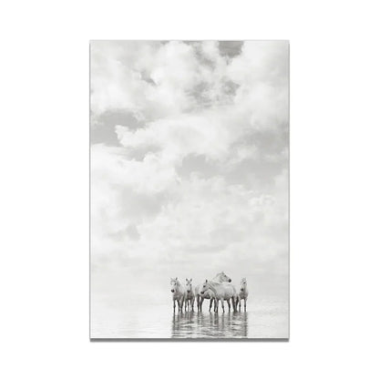 White Horse Print Art Canvas  Décor