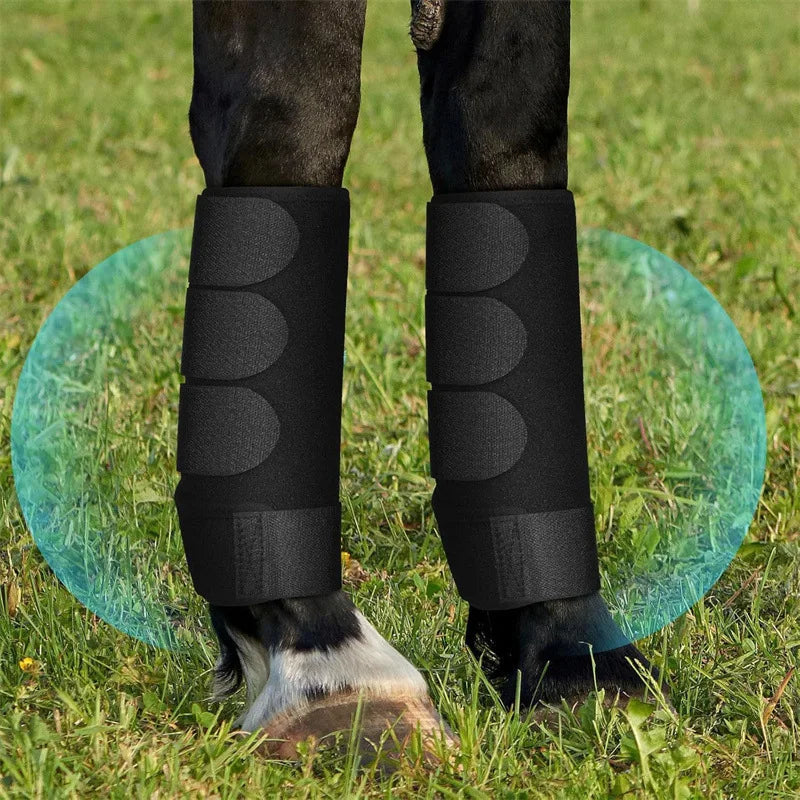 Shock-Absorbing Horse Legging Boots – Soft, Anti-Collision Equestrian Protective Gear









