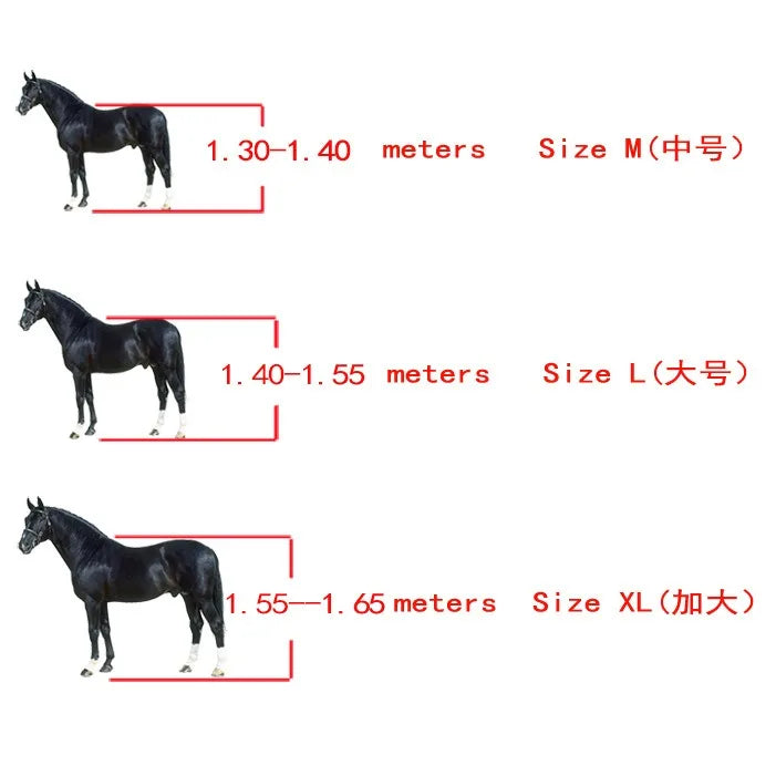 Horse  Fetlock Boots , Horse's Legs protectors - Ghoddosh