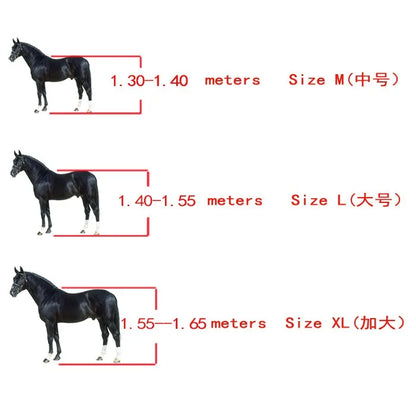 Horse  Fetlock Boots , Horse's Legs protectors - Ghoddosh