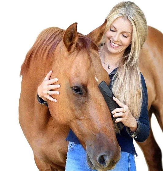 Horse Grooming Brush , Massage , Cleaning and Flea Tick Removal Rubber Brush