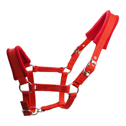 Soft Padded Pony Horse Halter / Bridle  Headcollar