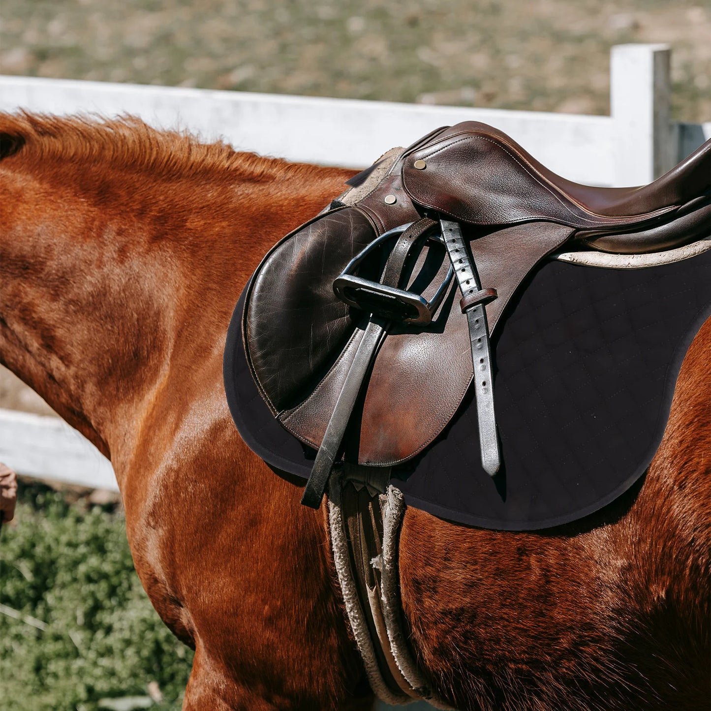 Horse  Eva Cotton  Polyester Breathable Soft Anti-Skid Thick Horse Saddle Pad @ ghoddosh.com