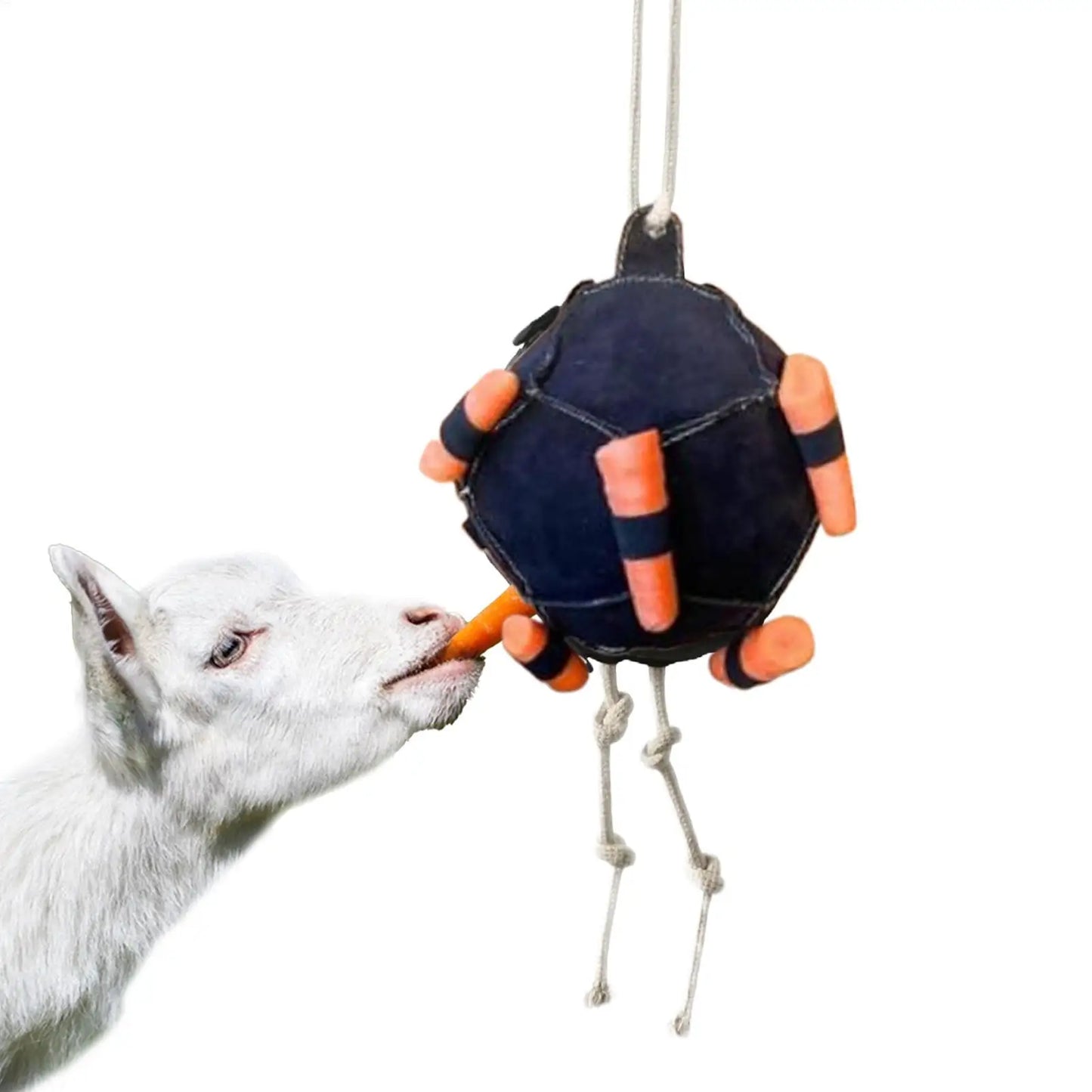 Horse carrot feeding ball toy / Hay Feeder  Hanging  Feeding Ball or any other animals - ghoddosh.com