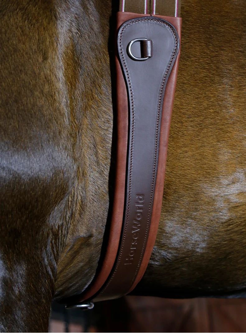 Premium Chocolate Leather Anatomical Girth | Anti-Chafe, Elastic & Padded for Training & Show @ ghoddosh.com