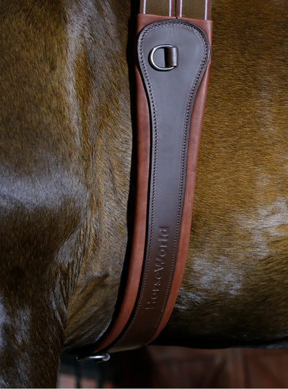 Premium Chocolate Leather Anatomical Girth | Anti-Chafe, Elastic & Padded for Training & Show @ ghoddosh.com