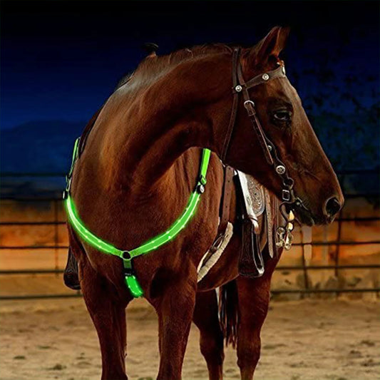 LED Horse  Nylon Night Visible belt