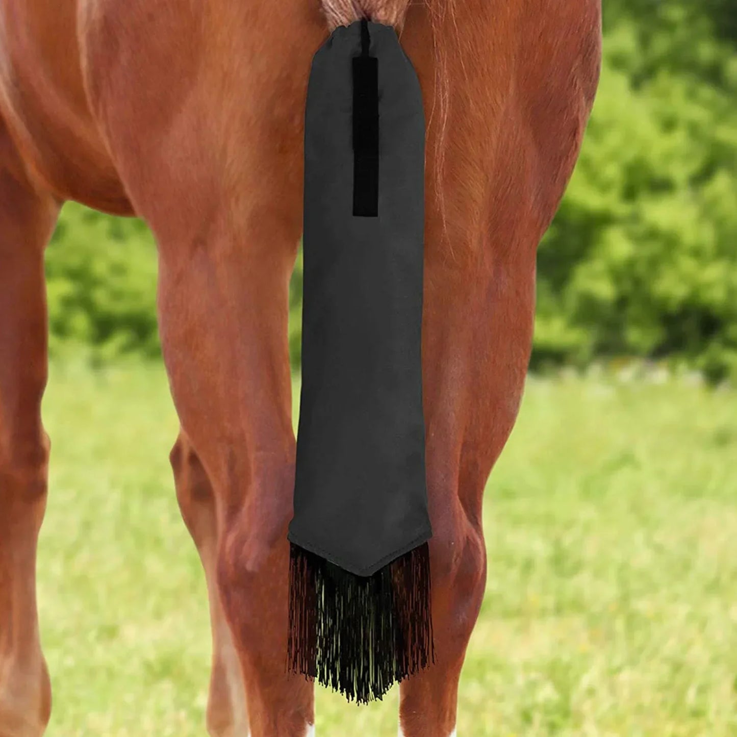 A Colored horse tail bag attached to a horse's tail, with  fringes. Ghoddosh