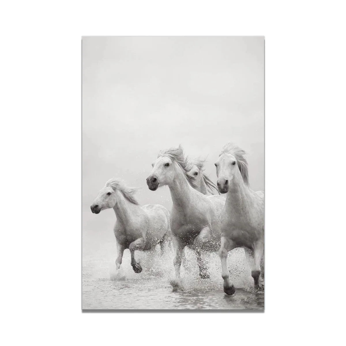 White Horse Print Art Canvas  Décor
