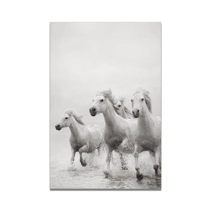 White Horse Print Art Canvas  Décor