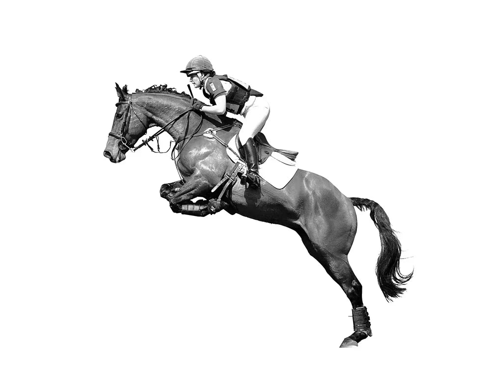 Horse Racing Equestrian Horse  Double Decorative Paintings @ ghoddosh.com