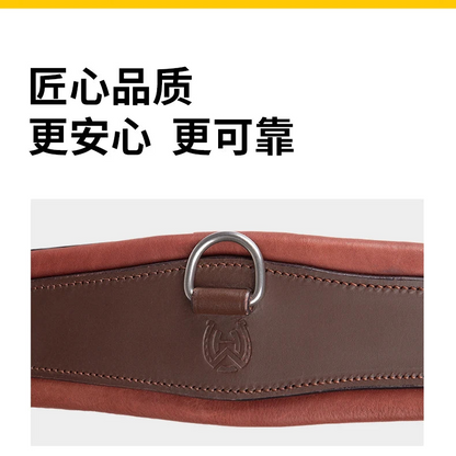 Premium Chocolate Leather Anatomical Girth | Anti-Chafe, Elastic & Padded for Training & Show @ ghoddosh.com