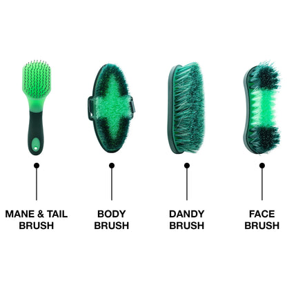 All In One  8-Piece Equestrian Grooming Kit – Complete Horse & Pony Care Set with Brushes, Hoof Pick & Storage Box @ ghoddosh.com
