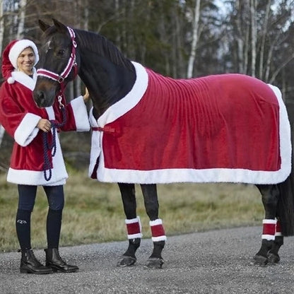 Christmas Best Sellers Customized Winter Equestrian Horse Rug @ghoddosh.com