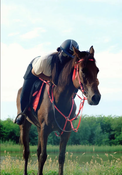 Horses shock absorbent , sweat absorbent  saddle pad With a pocket - ghoddosh.com