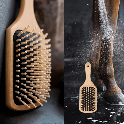 Man grooming a horse with a close-up of a wooden brush inset. @ ghoddosh.com