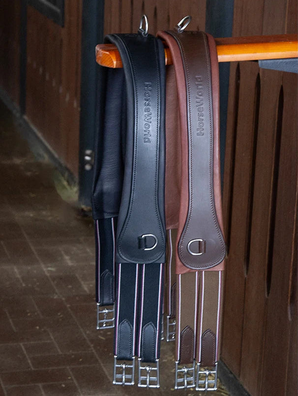 Premium Chocolate Leather Anatomical Girth | Anti-Chafe, Elastic & Padded for Training & Show @ ghoddosh.com
