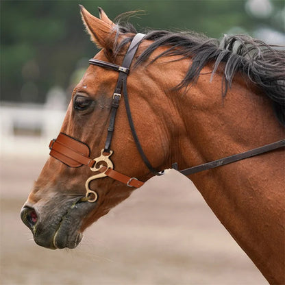 Bitless Hackamore Horse Bridle Comfort Padded Nose with Curb Chain  / Adjustable Brown Genuine Leather Bridle @ghoddosh.com