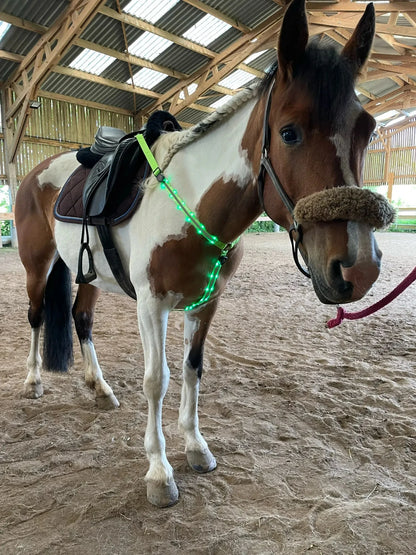 LED Horse  Nylon Night Visible belt