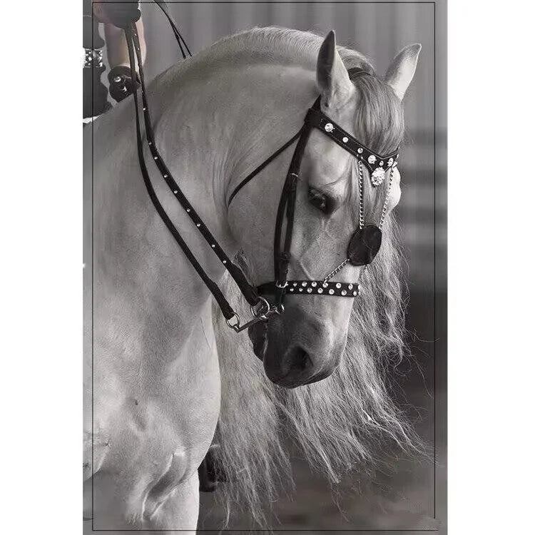 European Equestrian Leather Bridle Reins . Ghoddosh 