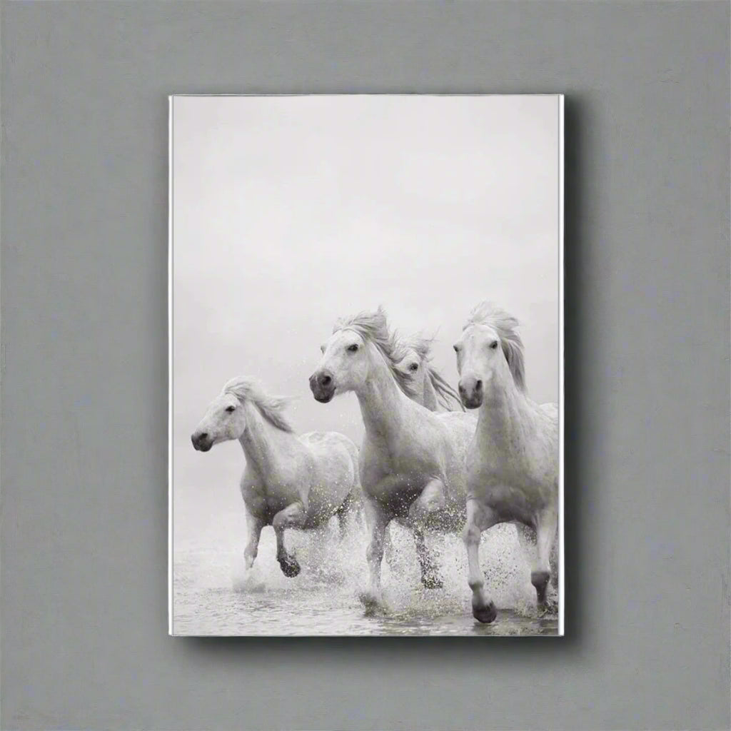 White Horse Print Art Canvas  Décor