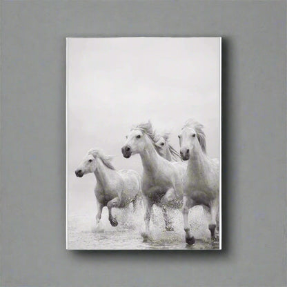 White Horse Print Art Canvas  Décor