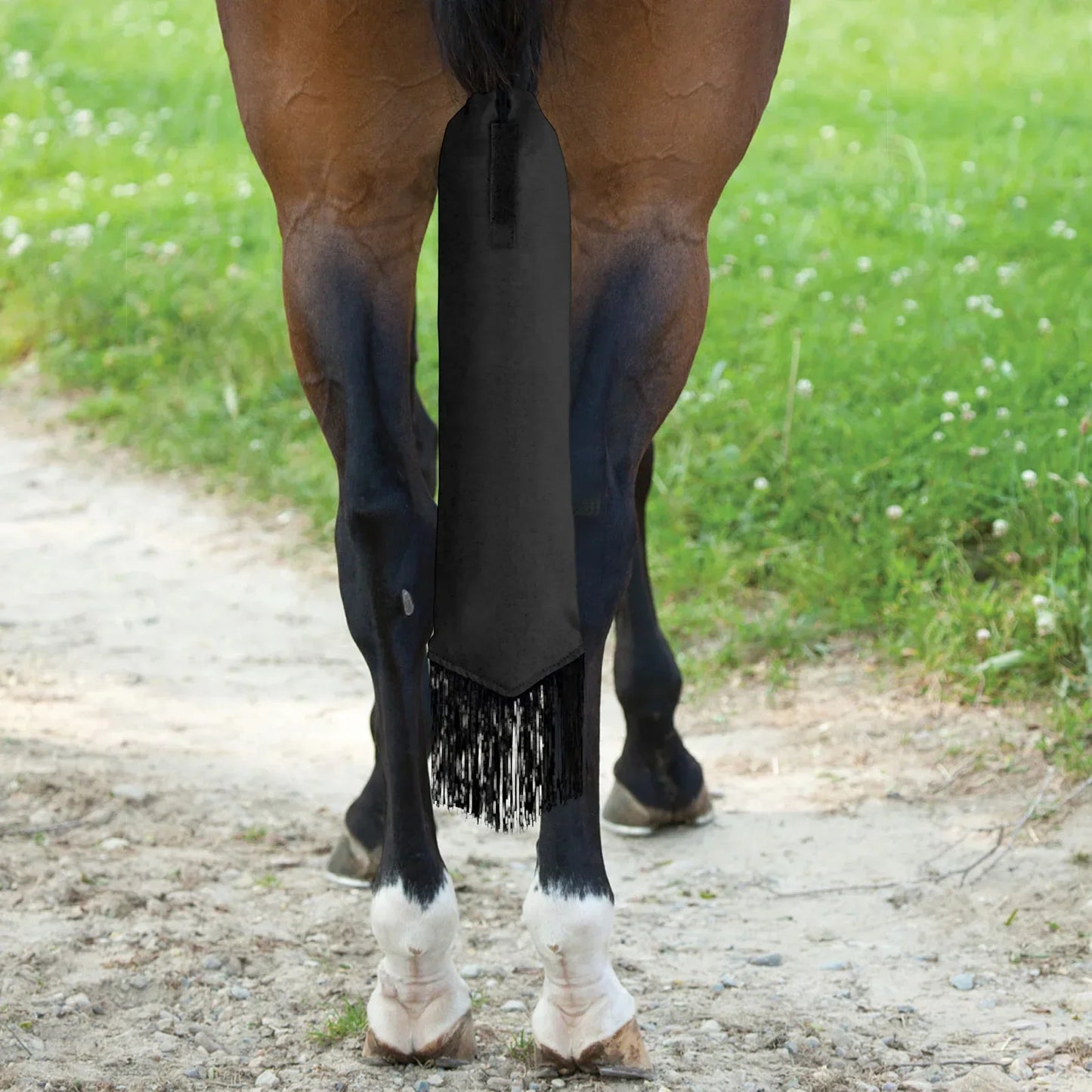 A Colored horse tail bag attached to a horse's tail, with  fringes. Ghoddosh