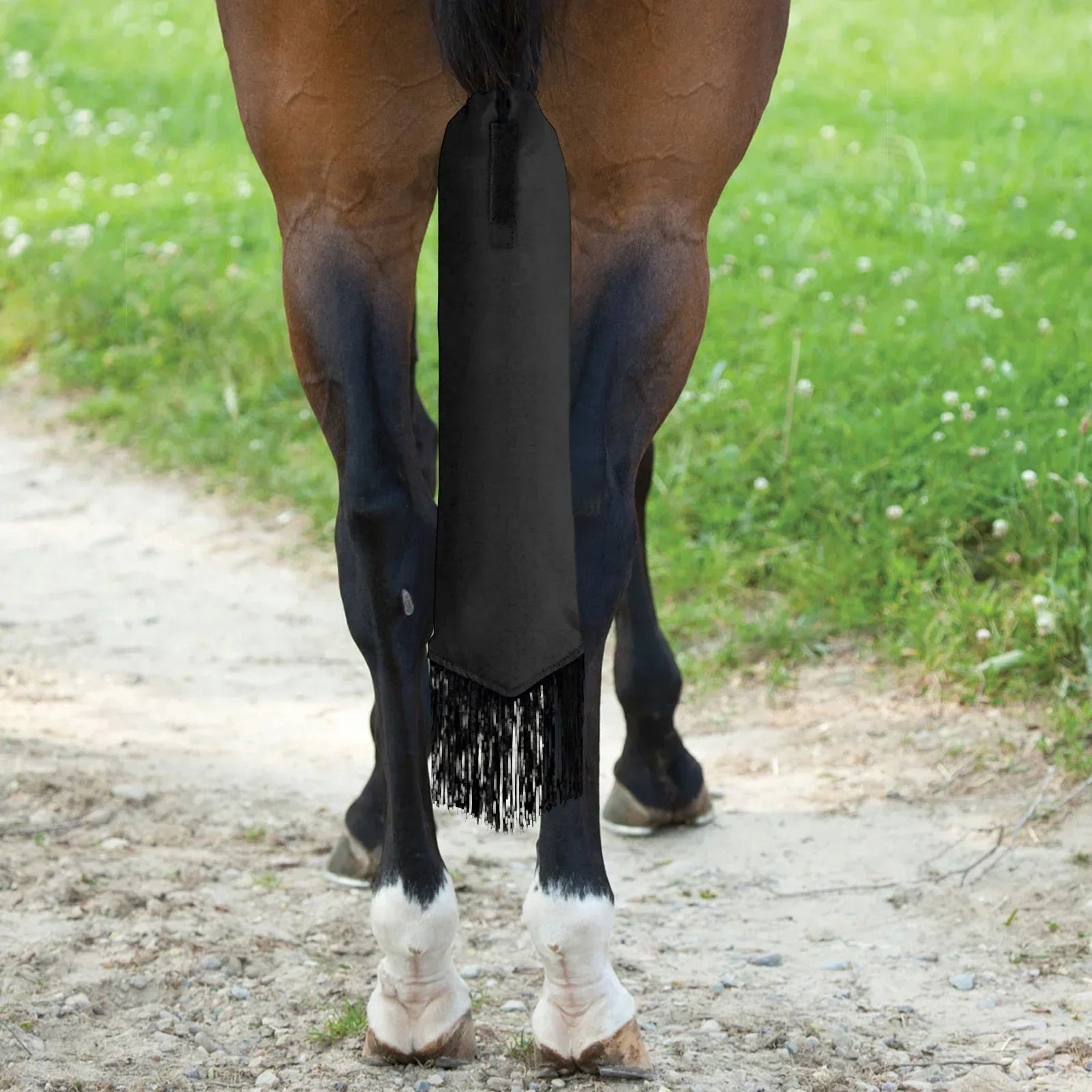 A Colored horse tail bag attached to a horse's tail, with  fringes. Ghoddosh