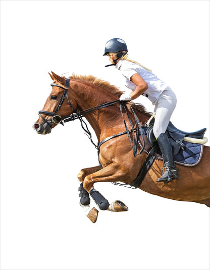 Horse Racing Equestrian Horse  Double Decorative Paintings @ ghoddosh.com
