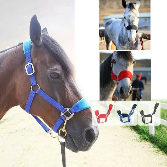 Soft Padded Pony Horse Halter / Bridle  Head Collar