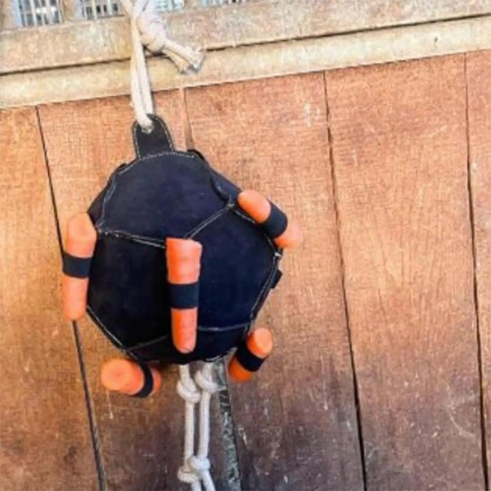Horse carrot feeding ball toy / Hay Feeder  Hanging  Feeding Ball or any other animals - ghoddosh.com