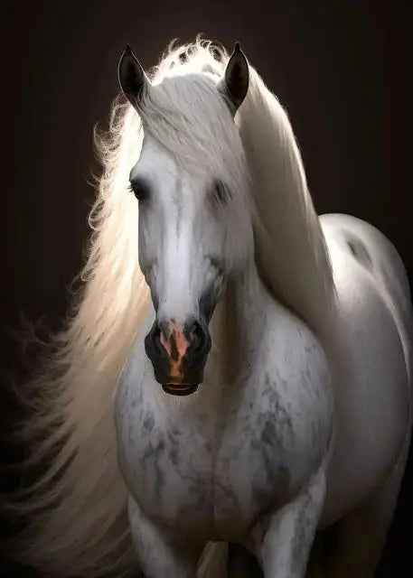 Dynamic Black and White Running Horses Canvas Wall Art