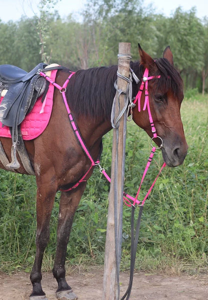 Horses shock absorbent , sweat absorbent  saddle pad With a pocket - ghoddosh.com