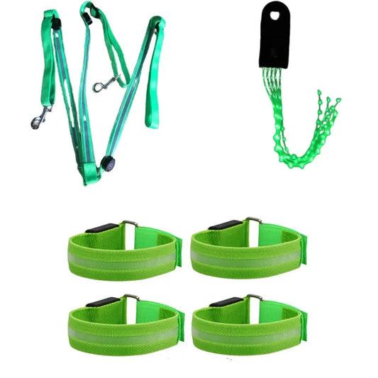 LED Horse Tack for Enhanced Visibility (Legs, Chest, Tail) - Ghoddosh